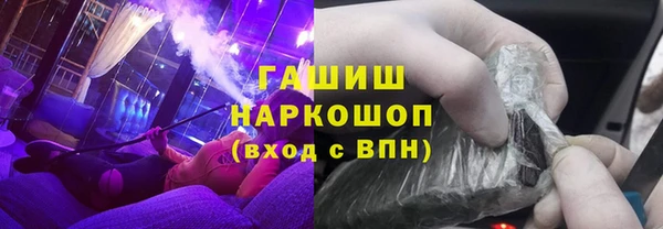 дживик Бородино