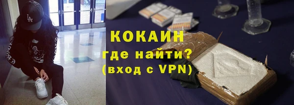 дживик Бородино