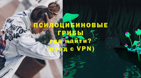 дживик Бородино