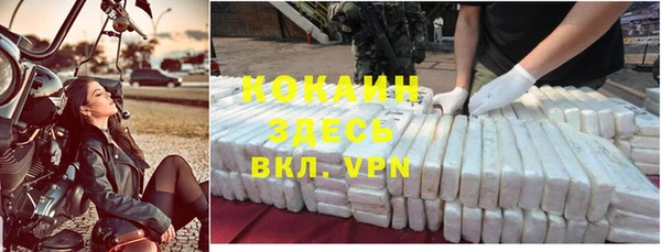 дживик Бородино