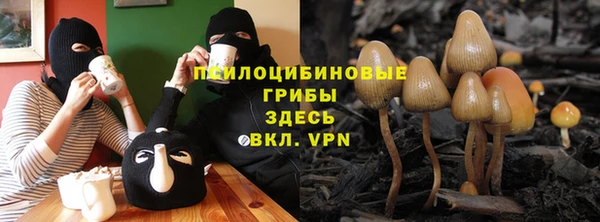 прущие крисы Бронницы