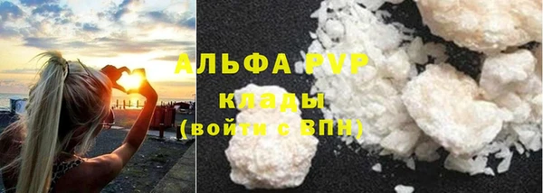 дживик Бородино